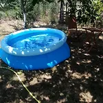 فيلة Holidey فارنا